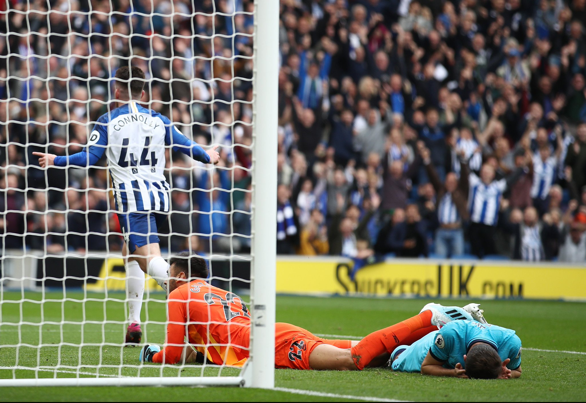 正是因为湖 正是因为湖